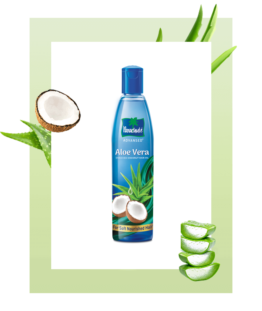 Parachute Advanced Aloe Vera Enriched Coconut Hair Oil 250ml  Apnishopin