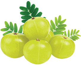 Amla