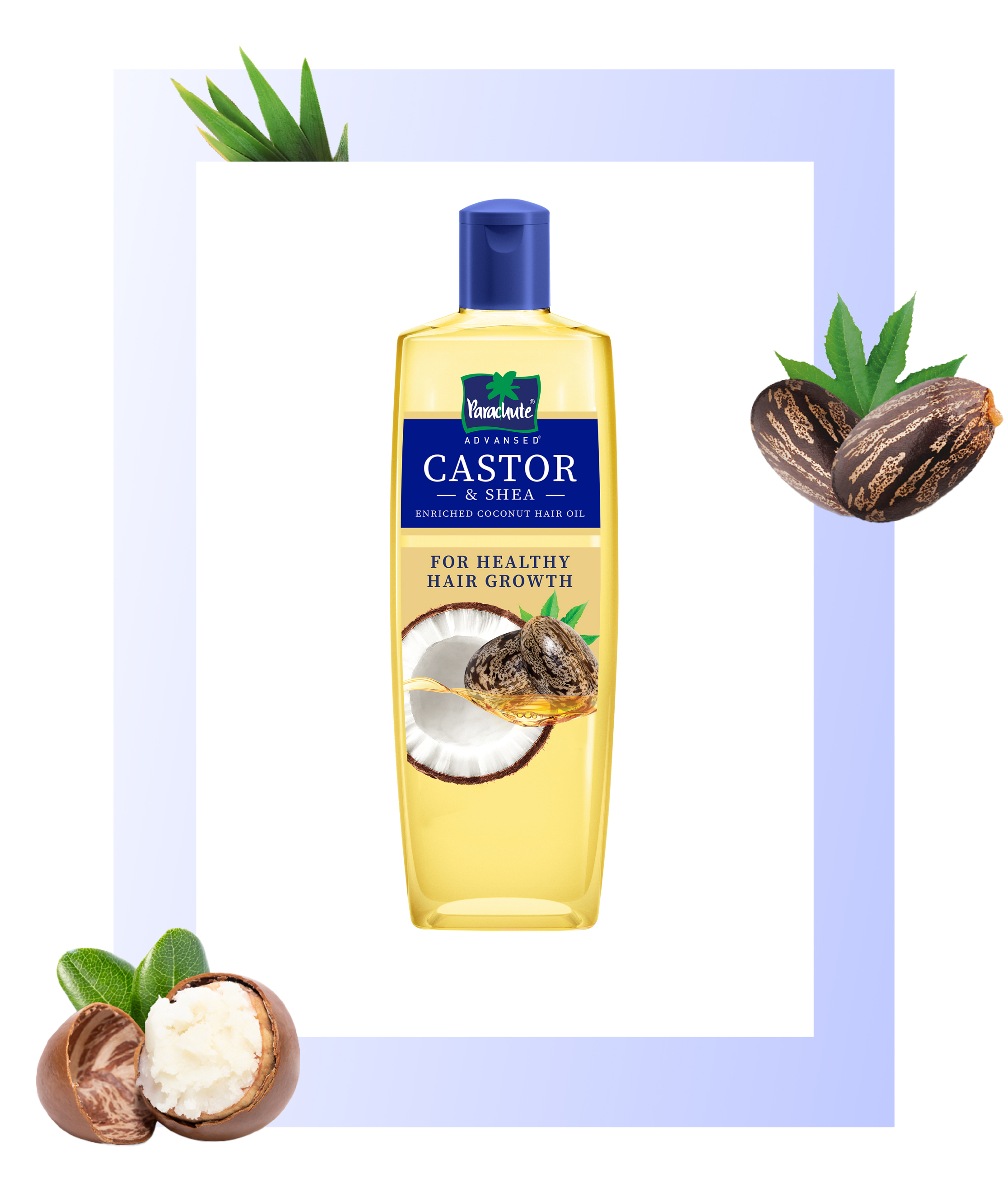 Parachute Advansed Castor and Shea Oil