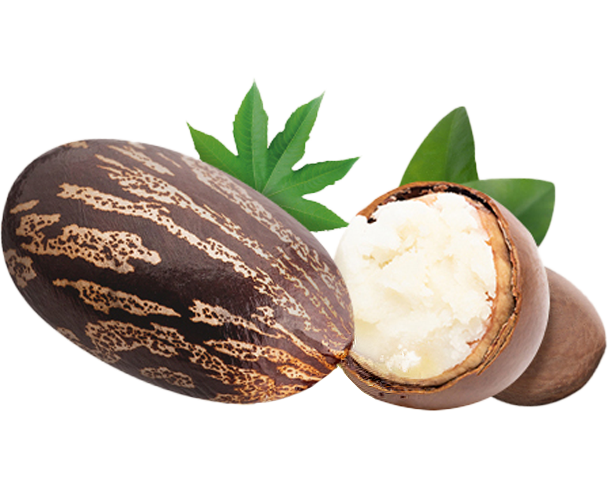 Parachute Advansed Almonds